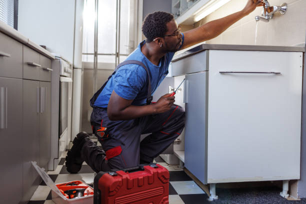 Best Affordable Plumbing Services  in Forest Hills, MI