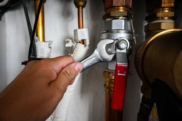 Best Plumbing Inspection Services  in Forest Hills, MI